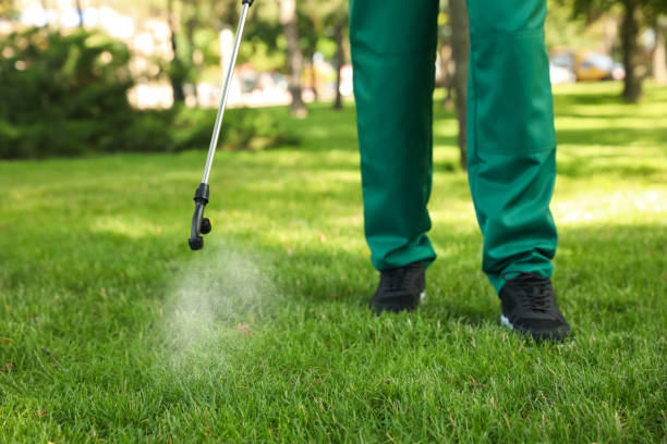 Best Flea Control Services  in Maple Plain, MN