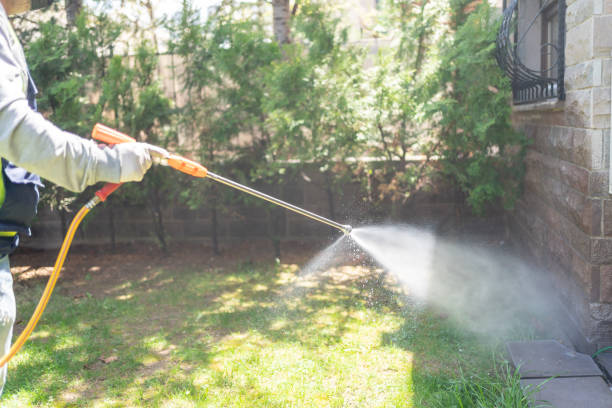 Reliable Maple Plain, MN Pest Control Solutions