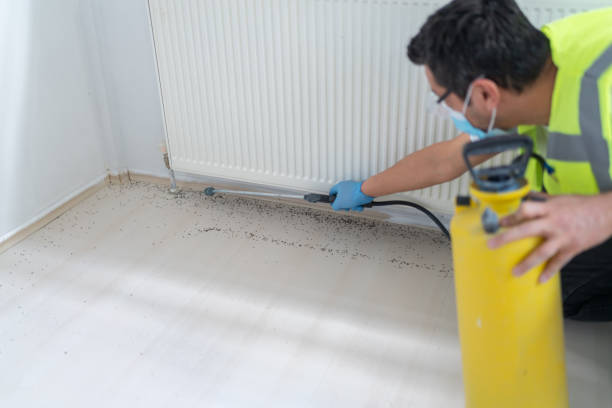 Best Pest Removal Services  in Maple Plain, MN